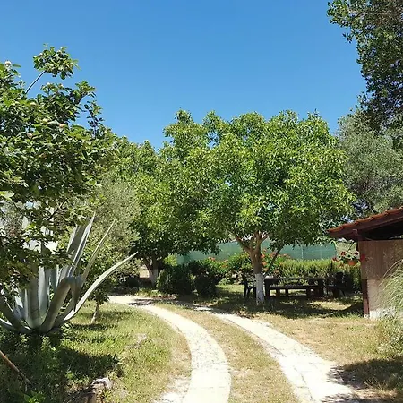 Appartamento Haus Aurora *